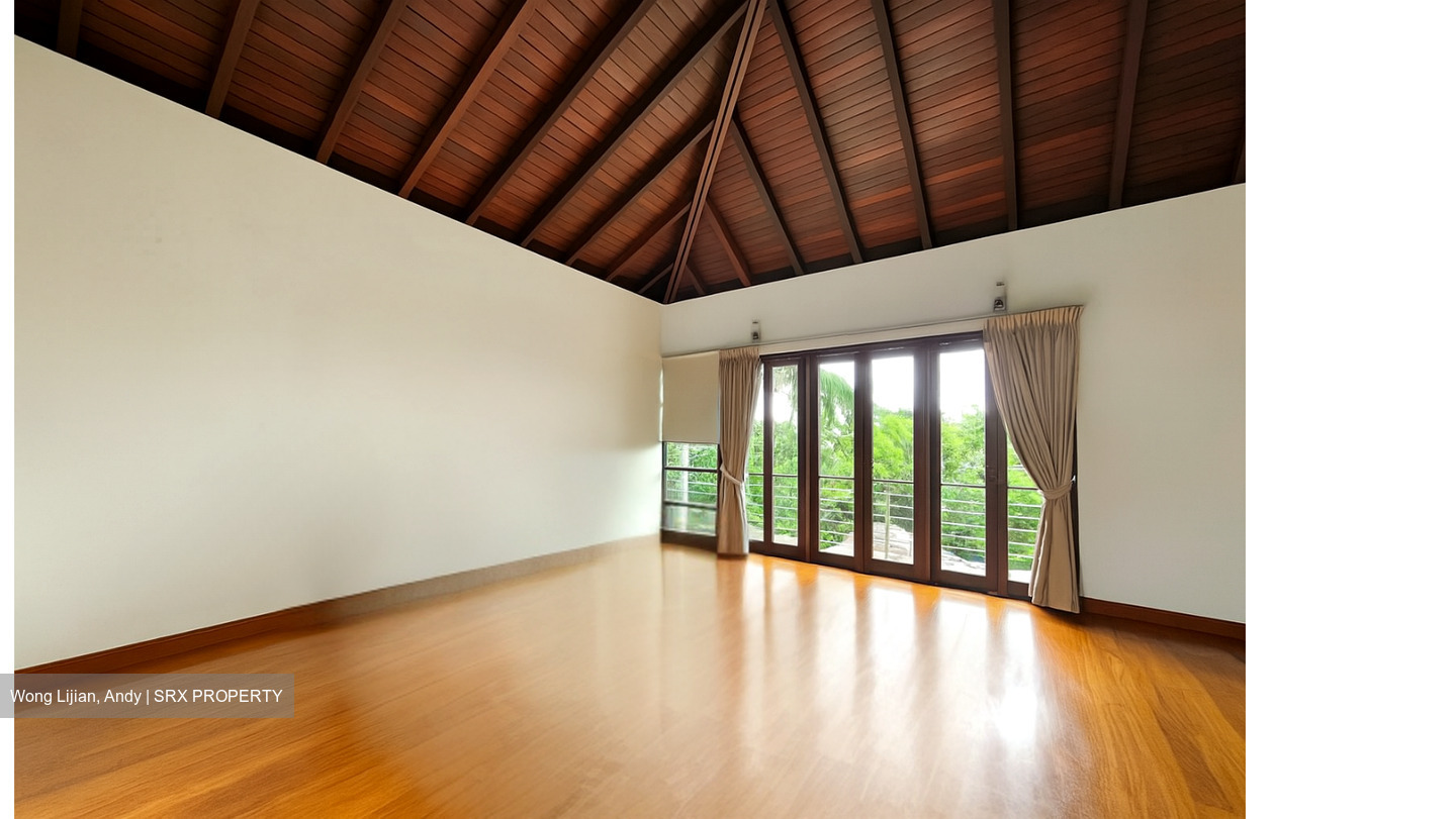 Raffles Park (D11), Detached #453062791